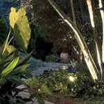 garden lighting path